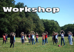 Tai Chi workshop